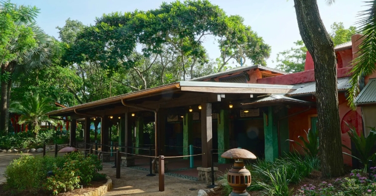flame tree barbecue animal kingdom