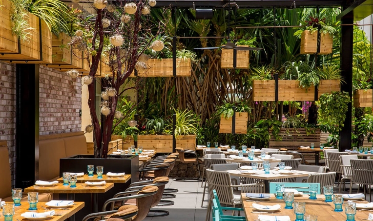 hawaiian themed restaurant near me