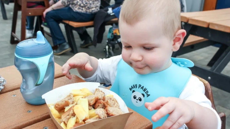paultons park restaurants