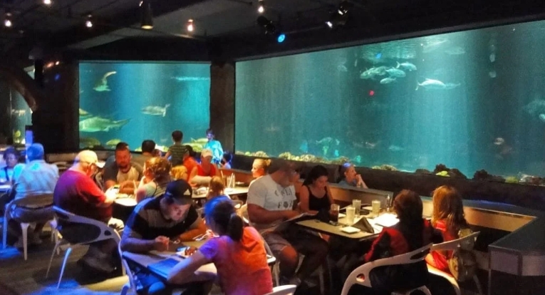 seaworld underwater restaurant