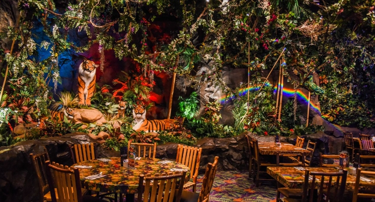 rainforest cafe universal studios