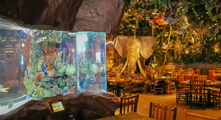 rain forest animal kingdom