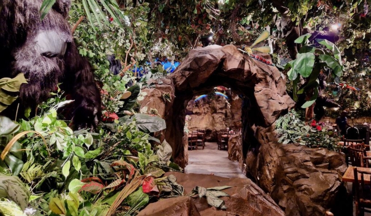 rainforest cafe orlando animal kingdom