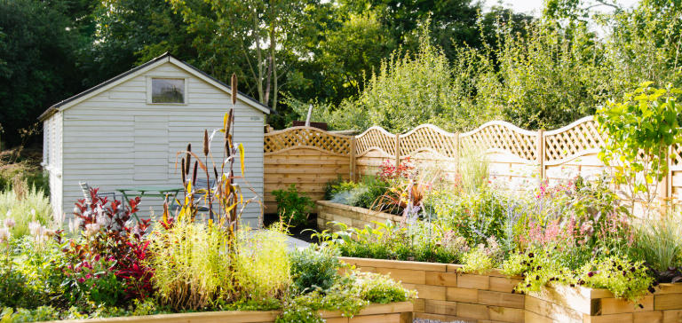 Herb Garden in a Minimalist Study Room