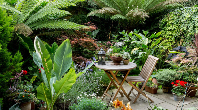 Vertical Garden Ideas for Minimalist Study Spaces