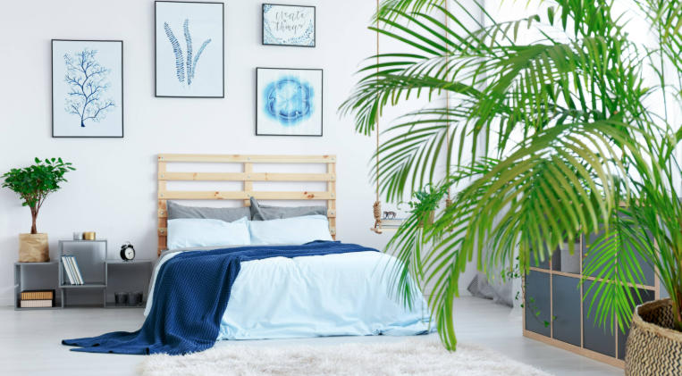 Indoor Trees for Minimalist Study Spaces