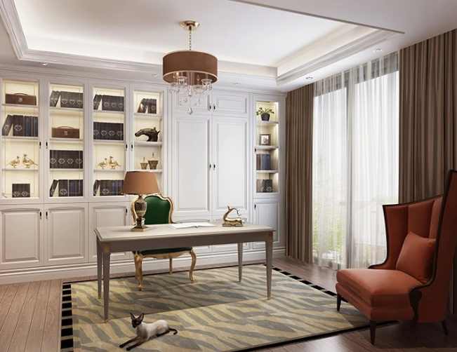 Luxury Storage Cabinets for Study Rooms